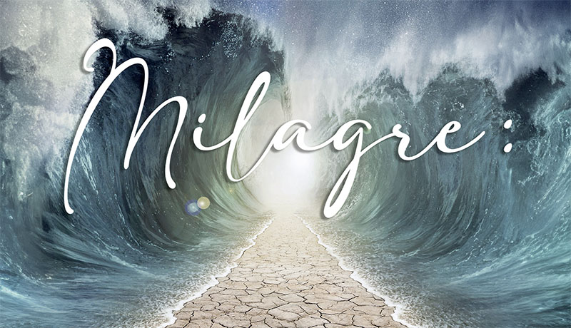 Milagre: acontece, é real e ninguém explica